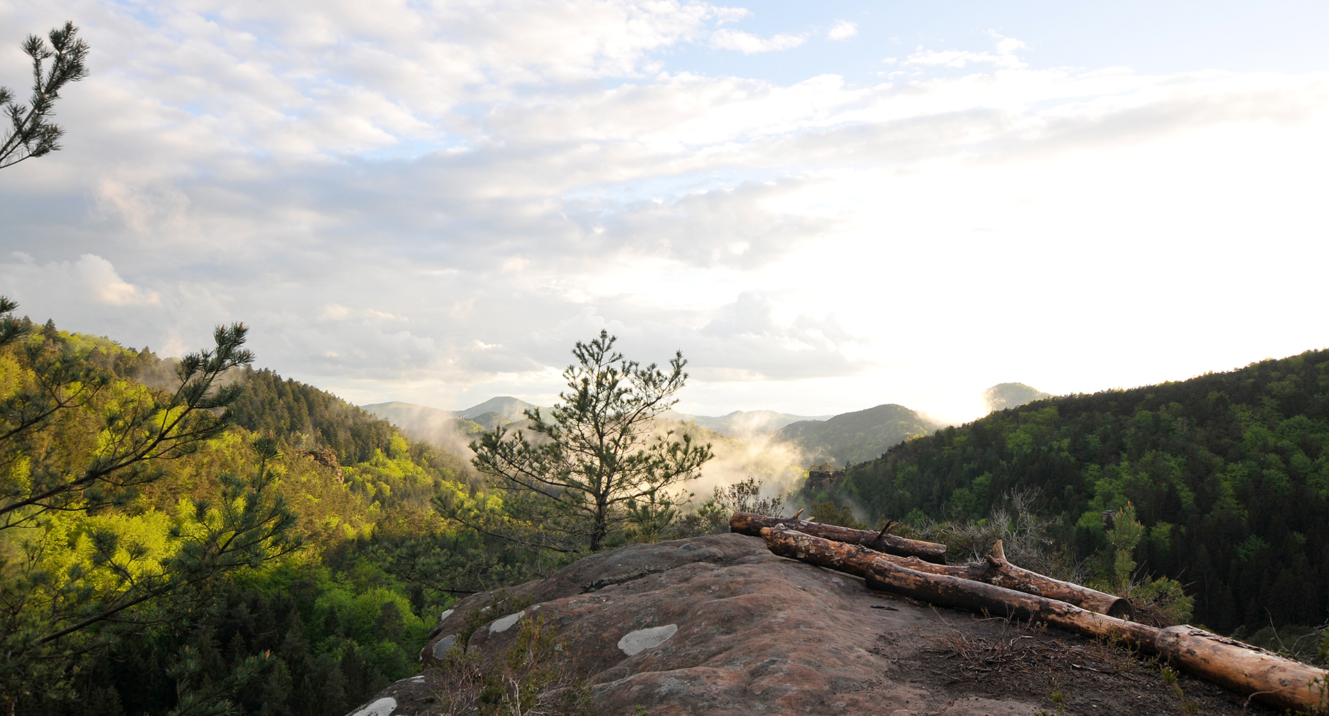 Hotel Kupper Restaurant Eppenbrunn Rheinland-Pfalz Erfweiler